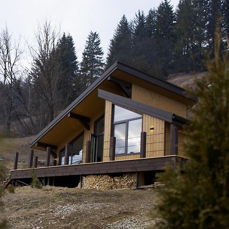 Petrick House Lejlighed Verkhovyna Eksteriør billede