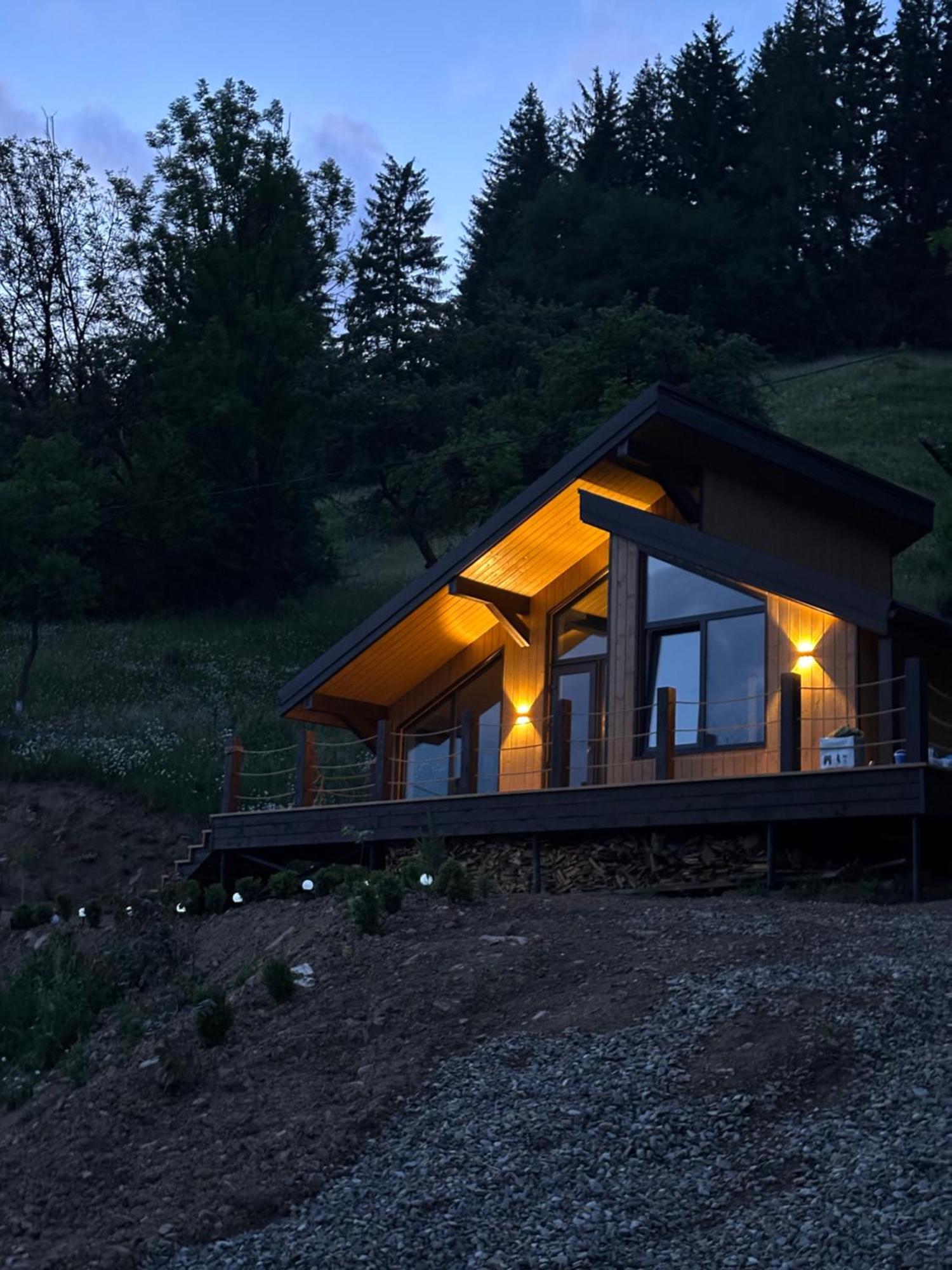 Petrick House Lejlighed Verkhovyna Eksteriør billede